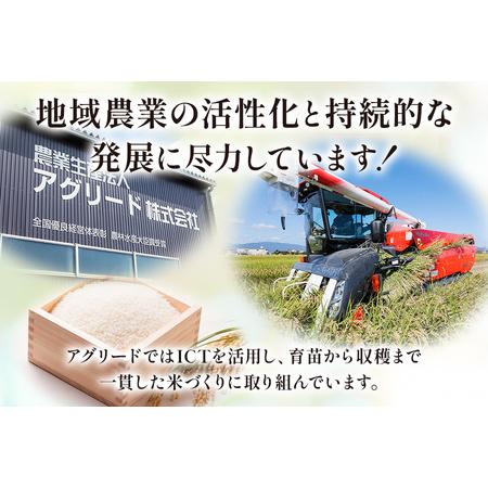 ふるさと納税 令和5年度 にじのきらめき 5kg×1袋 [1435] 岐阜県本巣市