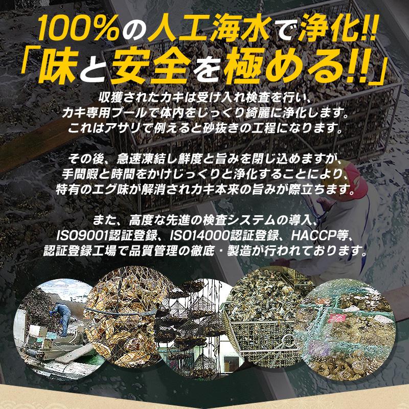 カキ かき 牡蠣 生食用 殻付き 12個 冷凍 兵庫県室津産 冷凍殻付き牡蠣 お歳暮 ギフト