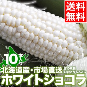 2024年 予約受付中 9月頃出荷開始 北海道産 とうもろこし 送料無料 ホワイトショコラ 10本   北海道 新鮮直送 とうきび トウモロコシ も