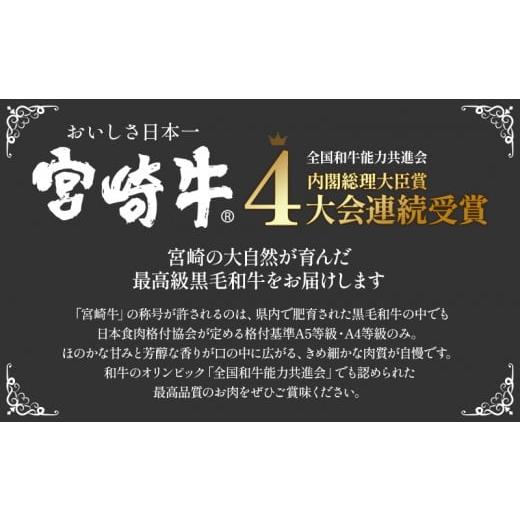 ふるさと納税 宮崎県 宮崎市 宮崎牛 サーロイン ステーキ カットステーキ セット 計750g 平家の郷 詰め合わせセットA｜牛肉 国産 和牛 牛肉ステーキ｜_M222-00…