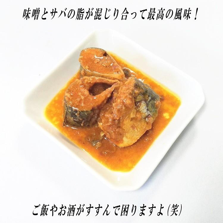 八戸港水揚げ八戸のさば缶 味噌煮 24缶セット 国産 国内製造 青森県 安心 安全 日本製 箱買 箱売 ケース販売 大量 非常食 備蓄 災害 お買い得 三星