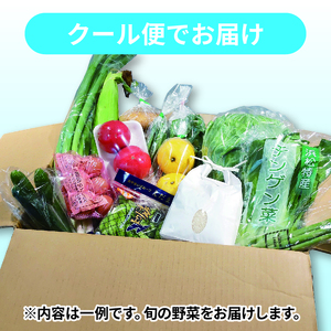 野菜 詰め合わせ 産地 直送 10~ 14種 減農薬 栽培 旬 採れたて やさい 家庭用 健康 食材 10000円 1万円 一万円 静岡県 藤枝市 人気野菜 ふるさと納税野菜 ふるさと野菜 furusato野菜 おすすめ野菜 送料無料野菜)