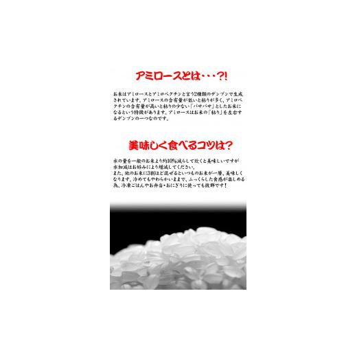 ふるさと納税 千葉県 八千代市 八千代市産ミルキークイーン・精米10kg（5kg×2袋）×3回