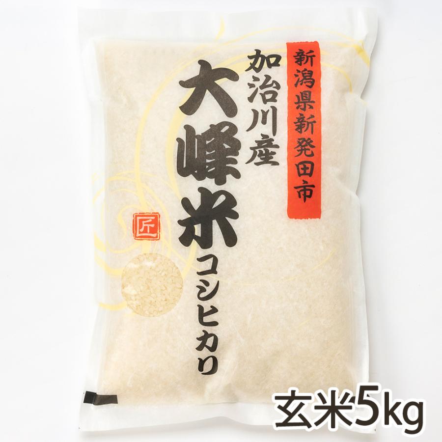 新潟産コシヒカリ「大峰米」玄米5kg（5kg×1袋） 株式会社アグリ加治川 送料無料