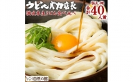 うどんバカ店長 (合計40食分) 2種 本場 讃岐 本生うどん 食べ比べ セット man006