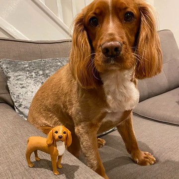 【客製化3D寵物紀念公仔】訂製手作似顏繪肖像狗狗貓咪毛小孩娃娃