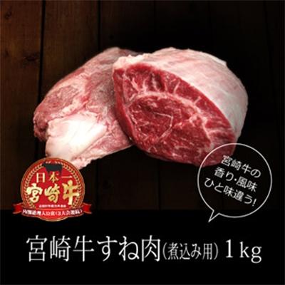 ふるさと納税 新富町 宮崎牛スネ1kg(500g×2)