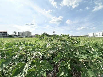 新市區近南科、國1、國3 ｜臨路特定農地｜台南市新市區永就