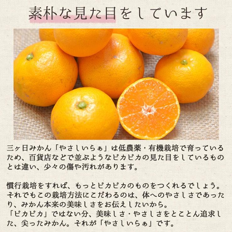  低農薬 有機栽培 三ヶ日 中生 みかん 10kg 南柑 送料無料 訳あり やさしいらぁ 3S 〜 3L サイズ不揃い オーガニック 特別栽培 有機肥料 減 農薬