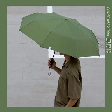 德國boy奈米瞬乾自動傘_原野綠