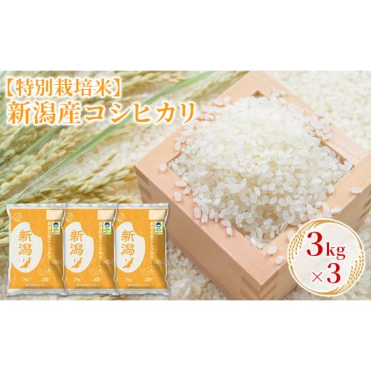 ふるさと納税 新潟県 新潟市 新潟産コシヒカリ 3kg×3