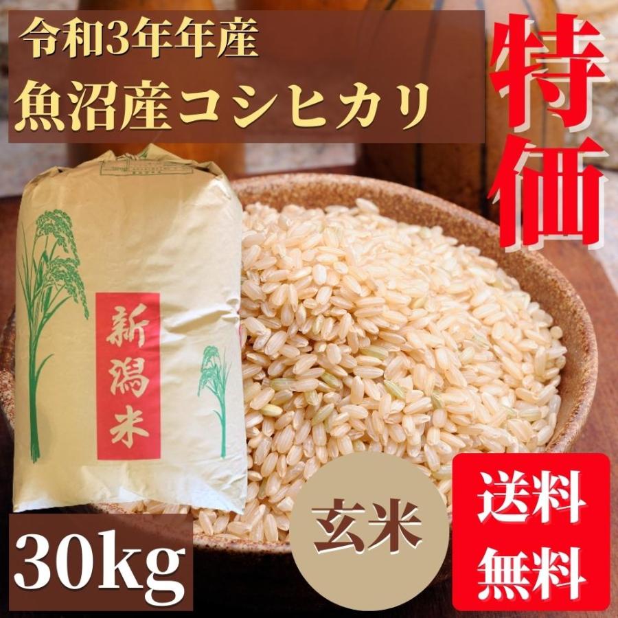 特別価格！訳あり　令和3年産　魚沼産コシヒカリ　玄米　30kg　二等米　業務用米　古米