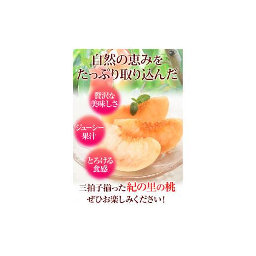 ふるさと納税 和歌山県 紀の川市 桃 もも モモ 紀の里の桃 約2kg(6-8玉入り)  もも 《2024年6月中旬-8月中旬頃より順次出荷》お届け時期に合わせた品種を厳選…