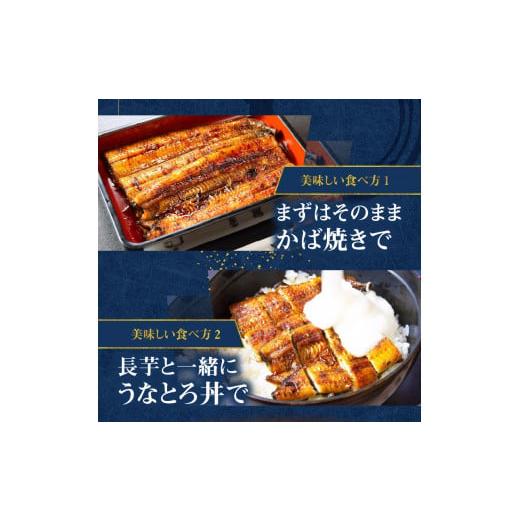 ふるさと納税 鹿児島県 奄美市 創業１４０年！！老舗うなぎ屋のうなぎのかば焼き2尾と骨せんべいセット うなぎ かば焼き 100g 2枚 骨せんべい 30g 2袋 セッ…