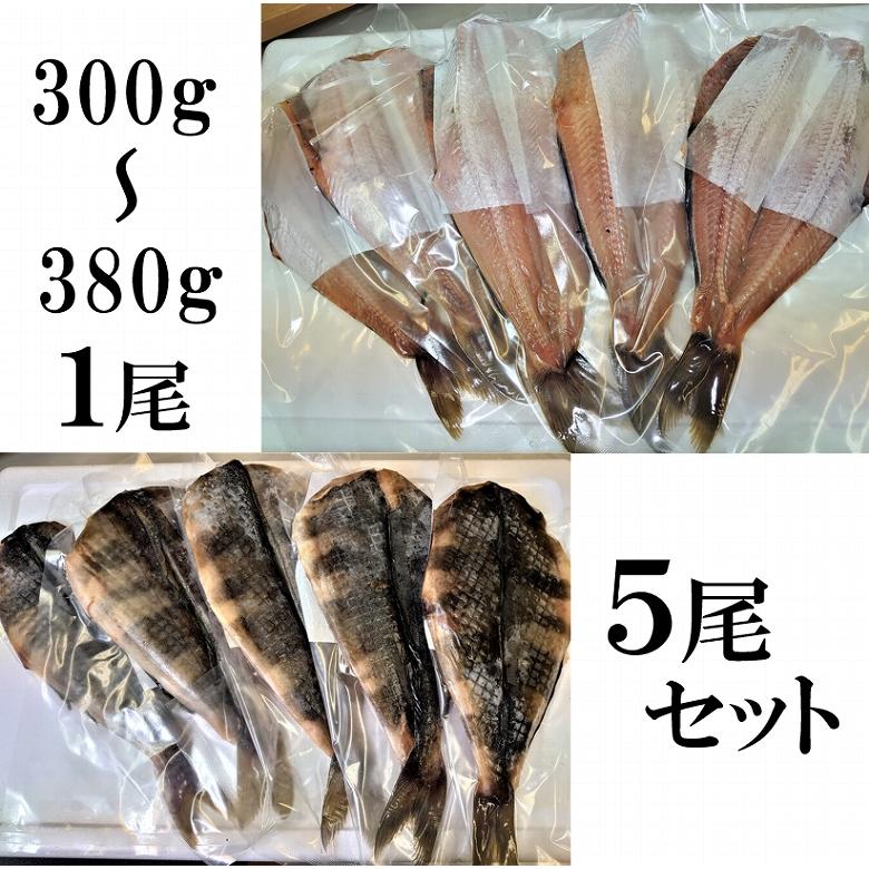 しまほっけ シマホッケ 縞ほっけ ほっけ ホッケ ５尾入り （300〜380ｇ １尾）魚介類、海産物 干物 一夜干し 送料無料