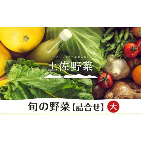 ふるさと納税 旬の野菜の詰め合わせ 大 高知県南国市