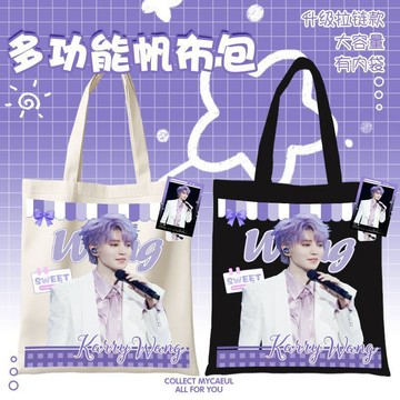 💙免運💙王俊凱 週邊 王俊凱噹潮汐漫溢巡迴演唱會週邊帆布包高顔值學生書包送禮物痛袋 ATA7