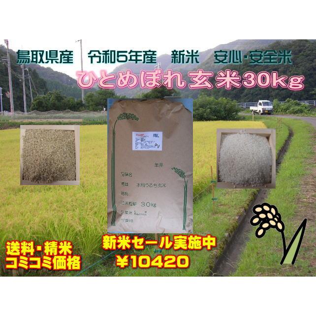 鳥取県令和5年産　新米ひとめぼれ　玄米30kg　条件付き送料無料　精米無料