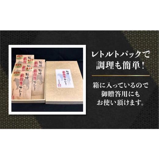 ふるさと納税 岐阜県 高山市 飛騨牛 5等級 カレー 5食セット 肉 レトルト 人気 飛騨高山 ながせ食品 TR3844