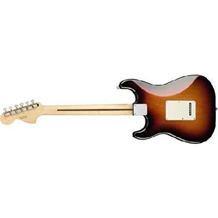 Fender エレキギター American Performer Stratocaster(R) HSS, Rosewood Fingerboard, 3-Color Sunburst