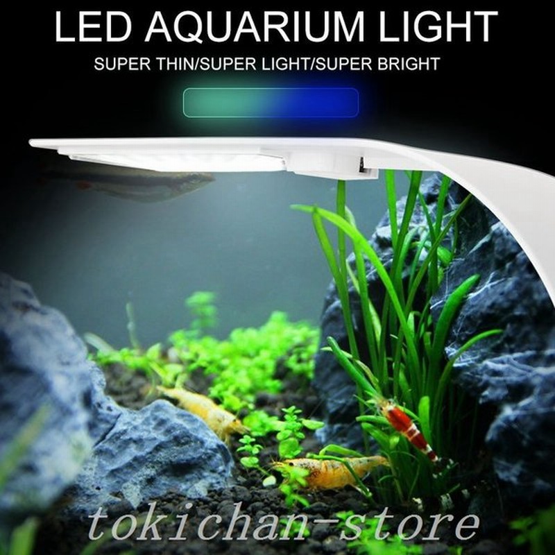 Ledアクアリウムライト水槽ライト小型水槽ランプ24led2タイプ10w淡水小粋なシステム照明熱帯魚水草育成 通販 Lineポイント最大0 5 Get Lineショッピング