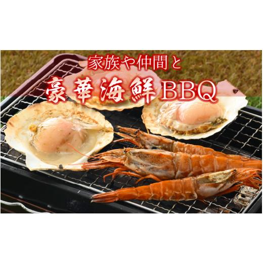 ふるさと納税 福井県 越前町 [e04-a063] 海鮮 BBQ おつまみセット「越前えび  片貝ほたて」約4〜5人前（越前えび500g 片貝ほたて10枚）【冷凍 おつまみ …