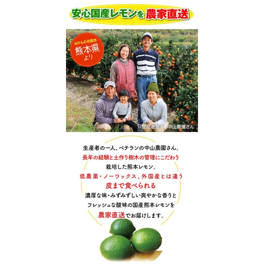 マイヤーレモン レモン 国産 3kg 送料別   ＜現在2023年10月上旬より順次出荷予定＞  減農薬 ノーワックス 防カビ剤不使用 産地直送 おおしま屋