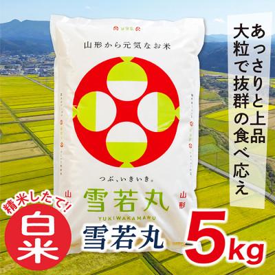 ふるさと納税 最上町 令和5年産山形県産雪若丸5kg