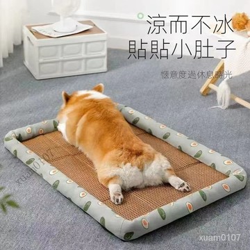 夏季涼席墊貓窩藤席小貓小狗墊泰迪金毛窩墊貓咪降溫大狗涼席墊子 ZFJV