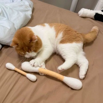 棉花棒貓玩具🐱 韓國爆紅巨型羊毛棒 天然手工貓草棒 貓咪踢踢包 舒壓解悶神器 生日交換禮物棉籤逗貓棒羊毛氈超大號貓玩具