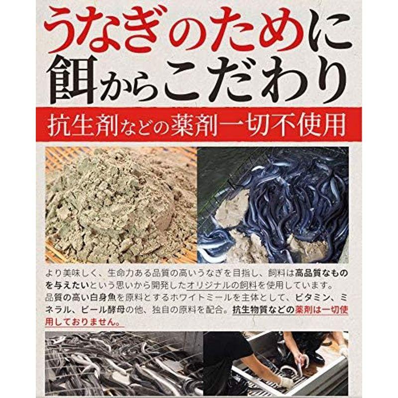 うなぎ 伊勢志摩産 白焼き 特大サイズ ２尾 冷凍 国産 ウナギ 鰻 蒲焼き 丑の日 個包装 冷凍 化粧箱入 ギフト プレゼント