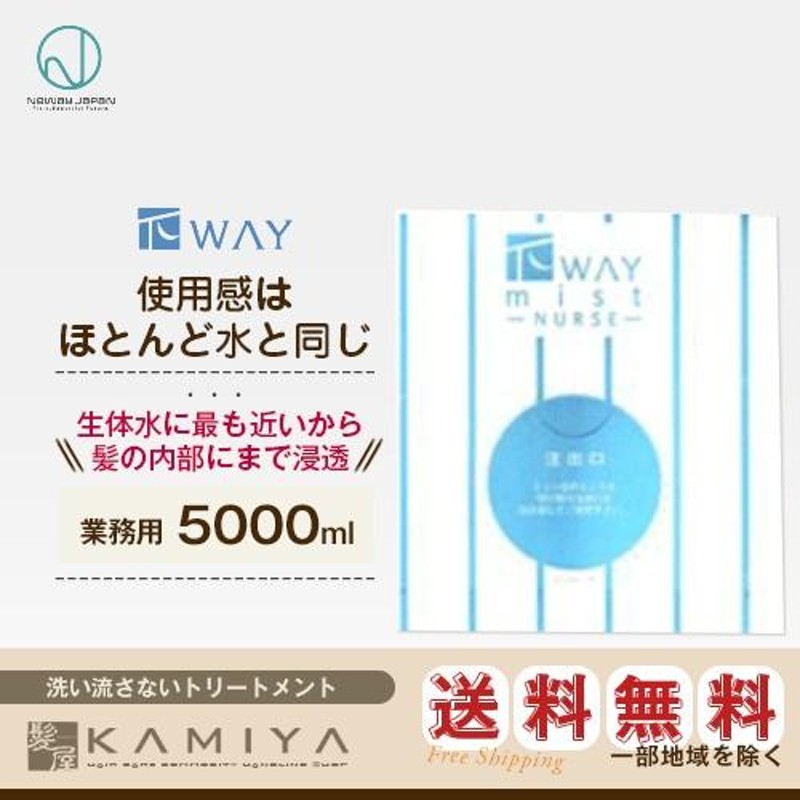 ニューウェイジャパン パイウェイ ミスト ナース 5000ml 業務用|ニュー