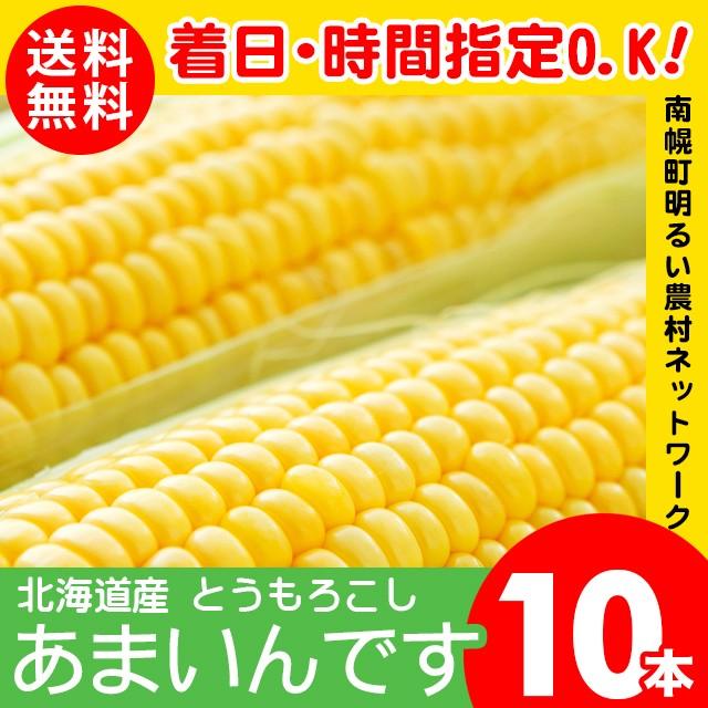  とうもろこし 送料無料 北海道産 あまいんです 10本入り 南幌町明るい農村ネットワーク 2セット購入で5本おまけ！