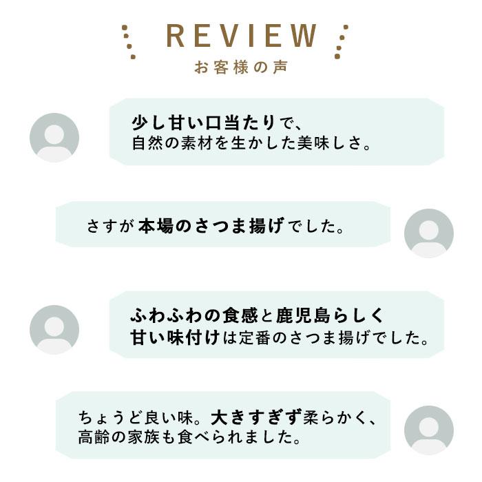 ギフト さつま揚げ 送料無料 4種19枚×2 さつまあげ詰合せ 「川内港」×2セット 鹿児島 せんだいつけあげ 贈り物 お土産 敬老の日 お歳暮 御歳暮