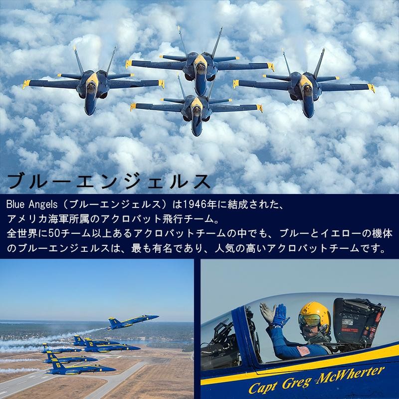 シチズン プロマスター PROMASTER SKYシリーズ Blue Angels ブルーエンジェルスモデル 流通限定 エコドライブ電波  カーフ革バンド CITIZEN 正規品 AT8020-03L | LINEブランドカタログ