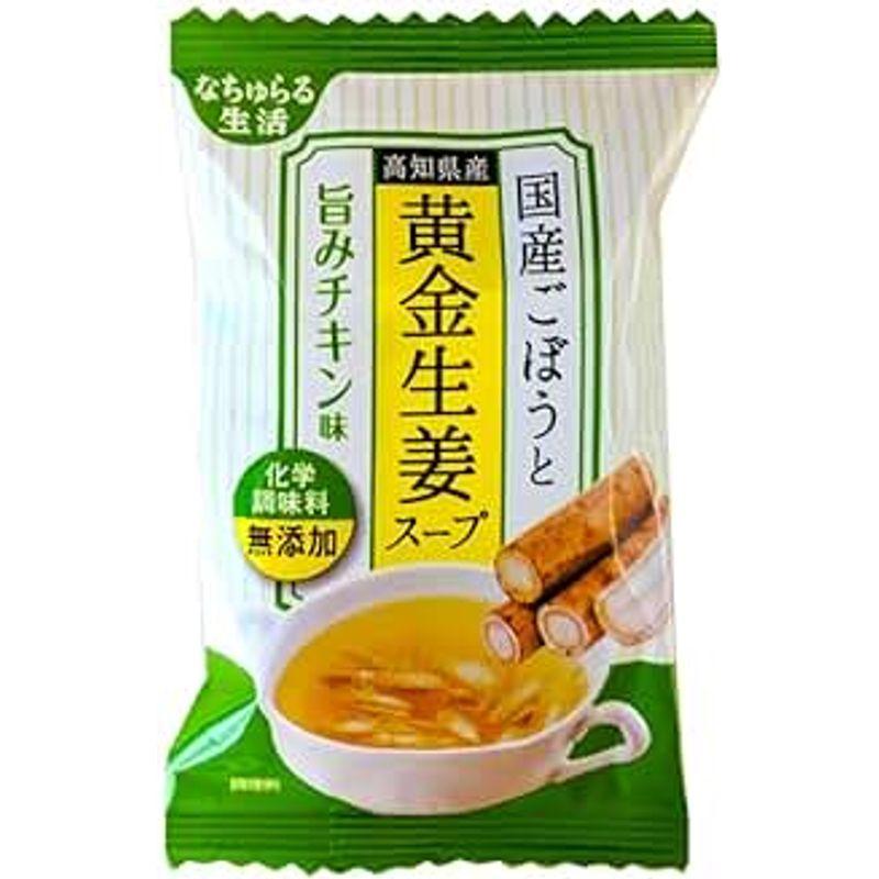 イー・有機生活 国産ごぼうと黄金生姜スープ 9g ×10袋