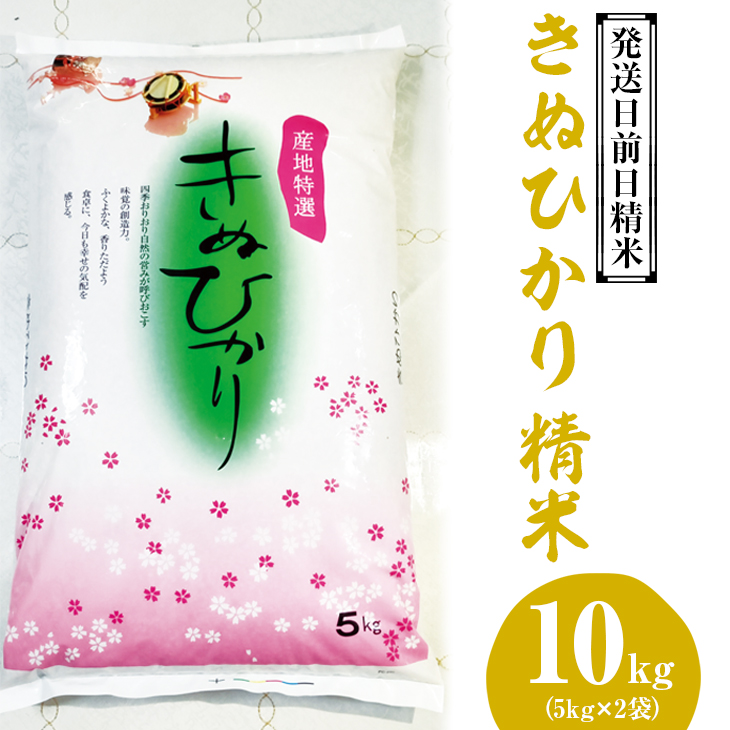 （発送日前日精米）きぬひかり　精米　5kg×2袋◆ ※着日指定不可