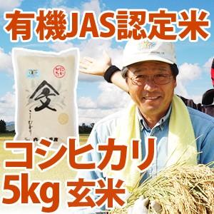令和5年産新米 新潟県産 「有機JAS認定米コシヒカリ」 玄米5kg