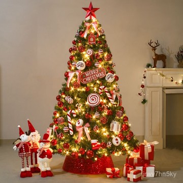 🎄居家裝飾 聖誕節裝飾品 2024聖誕節新款聖誕樹仿真擺件ins風裝飾diy掛件套餐大型家用客廳