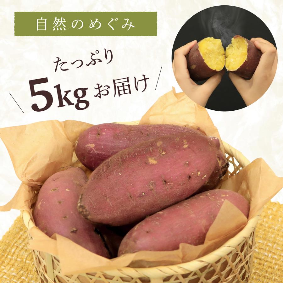 味楽堂 さつまいも 訳あり品 内容量5kg 紅はるか 紅あずま シルクスイート