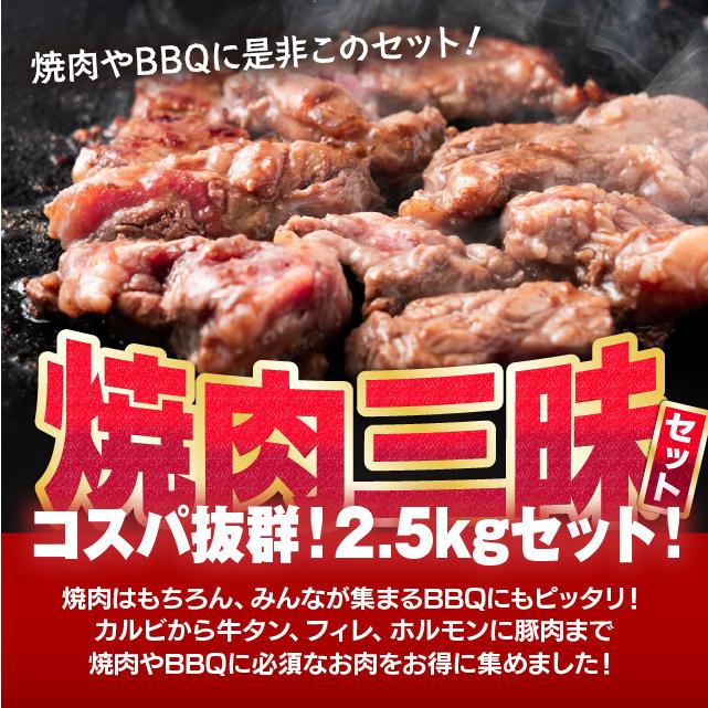 肉 焼肉 三昧セット 計2.5kg 肉福袋 bbq 冷凍 食品 牛ヒレひとくち500g キングカルビ500g 訳あり牛タン切落し500g 焼肉用豚バラ肉500g 牛ホルモン500g