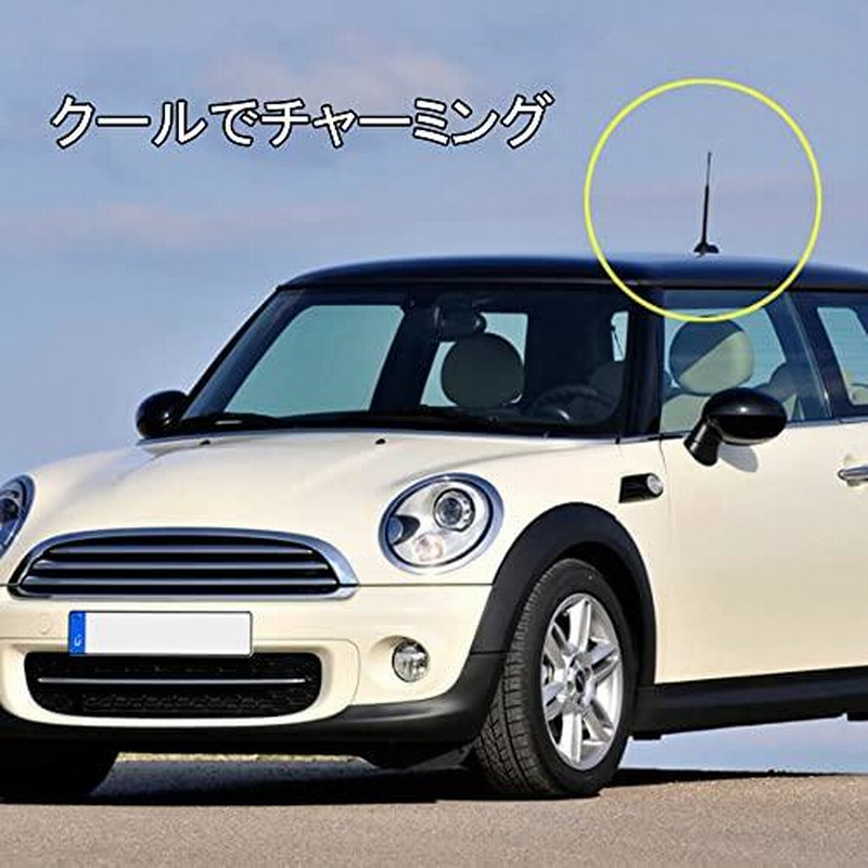 ギフト】 LIKENNY 車アンテナ ショートアンテナ ラジオアンテナ カーボンアンテナ 車用 AM FM アンテナ ブラック 12cm 汎用 高感度  12