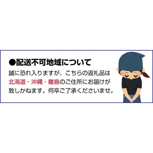 ふるさと納税 和歌山県 太地町 和歌山県産紀の川のカット巨峰約800g