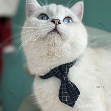 🎇可開發票✨外貿亞馬遜寵物英倫風格子領結領帶可調節貓咪狗項圈頸圈鈴鐺配飾#免運