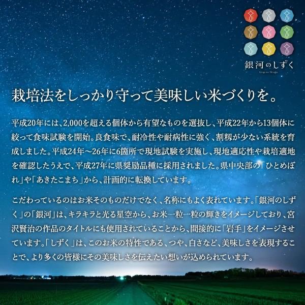 新米 銀河のしずく 4kg 令和5年産 岩手県産 白米 お米 送料無料 精白米