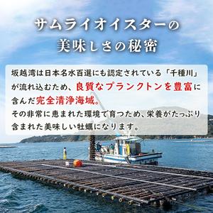 ふるさと納税 牡蠣 生食 坂越かき 殻付き 80個(牡蠣ナイフ・軍手付き)サムライオイスター 生牡蠣 冬牡蠣 兵庫県赤穂市