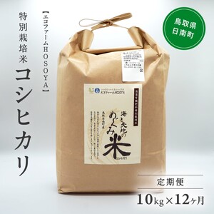 令和5年産 海と天地のめぐみ米（コシヒカリ） 白米10kg