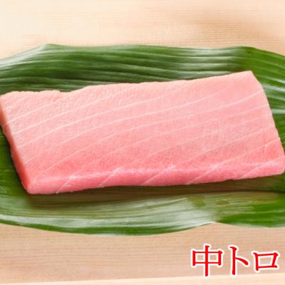 ふるさと納税 室戸市 厳選メバチマグロ赤身、中トロ食べくらべ