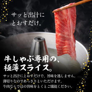 鹿児島県産 黒毛和牛 肩ロース しゃぶしゃぶ肉(計400g) a0-290