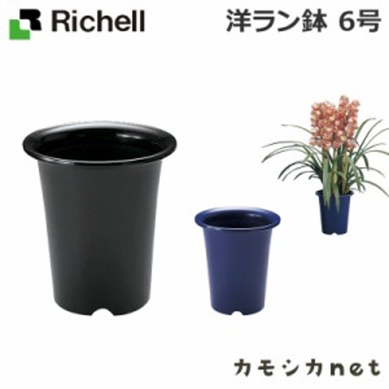 植木鉢 鉢 リッチェル Richell 洋ラン鉢 6号 園芸用品 通販 Lineポイント最大1 0 Get Lineショッピング